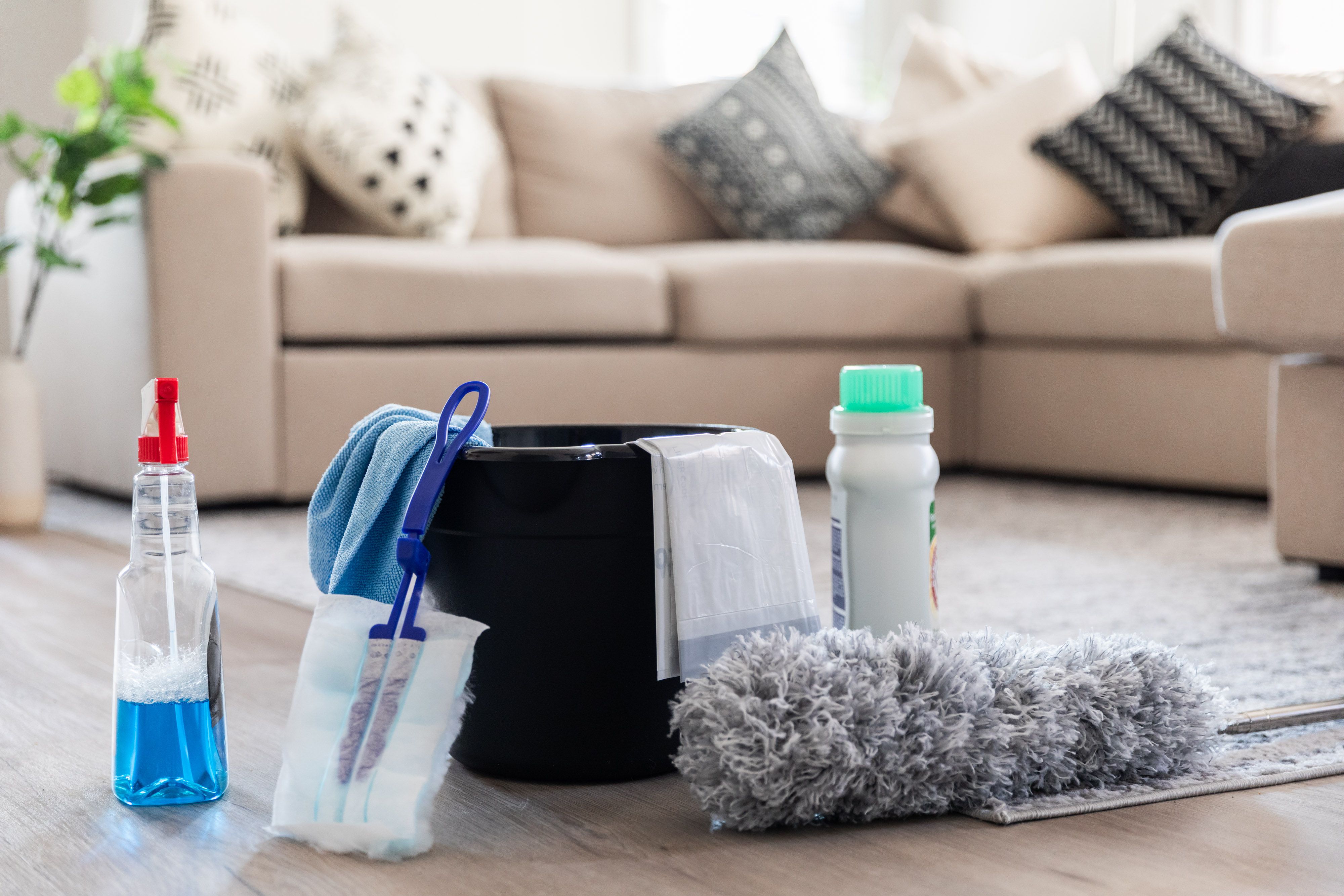 Specialized Cleaning